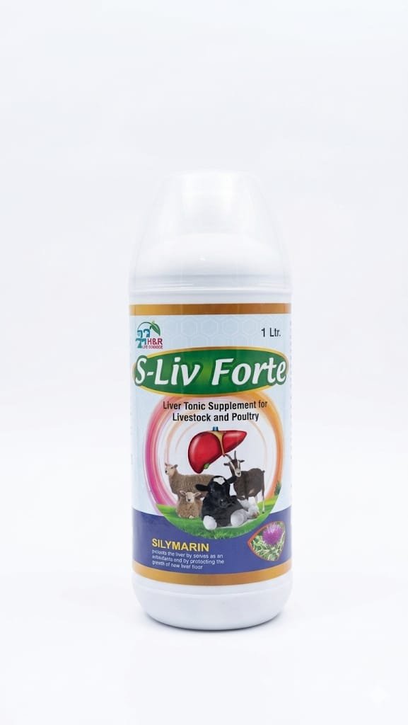 S-Live Forte